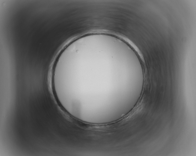 X0000102301245200807251015