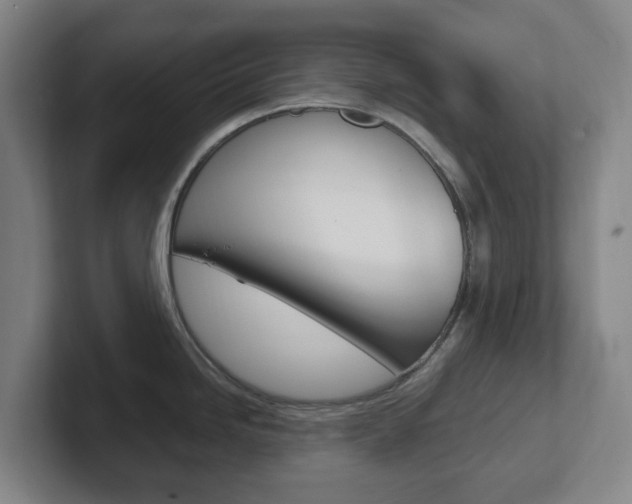 X0000102301246200807251015