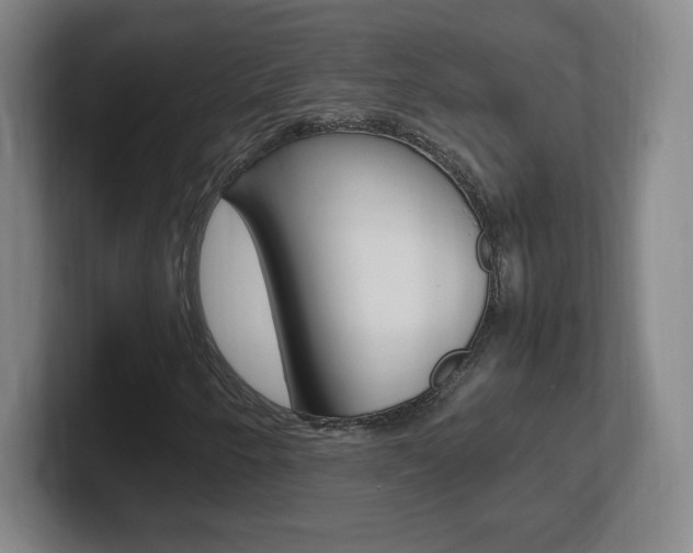 X0000102301250200807251014