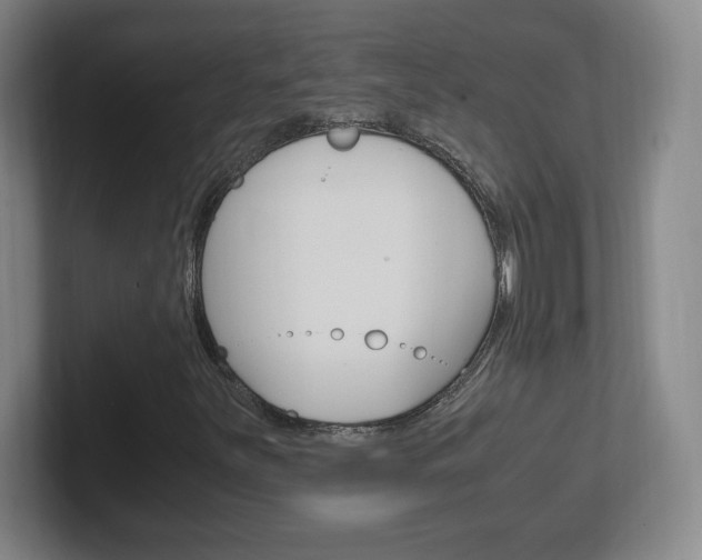 X0000102301251200807251014