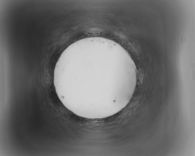 X0000102301253200807251014