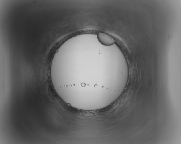 X0000102301255200807251014