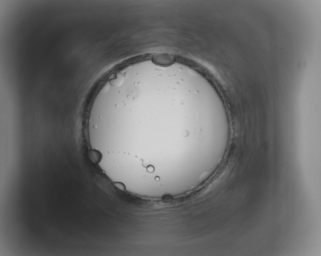 X0000102301263200807251014
