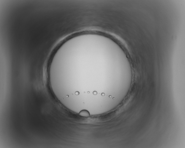 X0000102301271200807251014