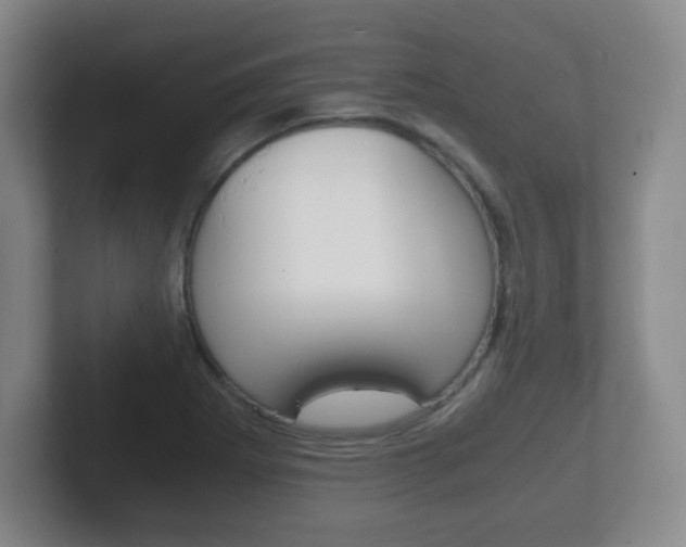 X0000102301273200807251014