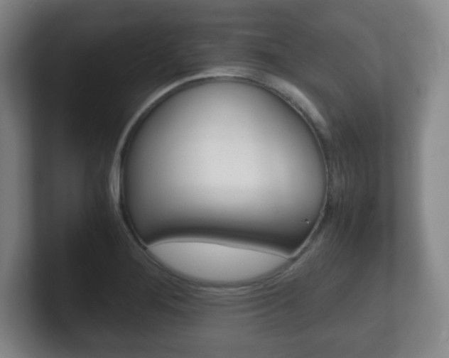 X0000102301276200807251014