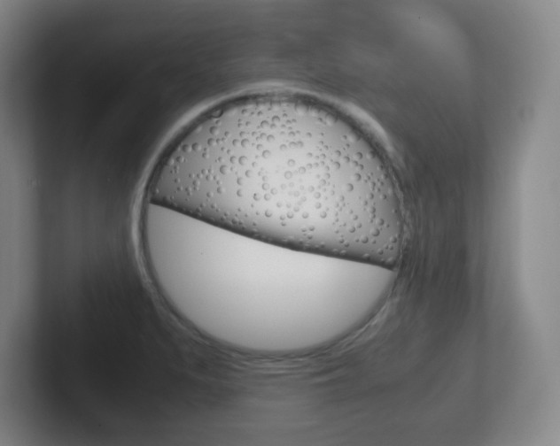 X0000102301279200807251014