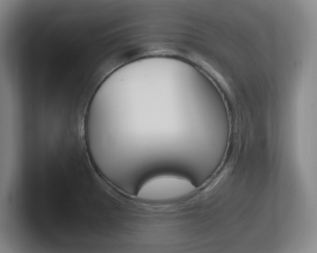 X0000102301281200807251014