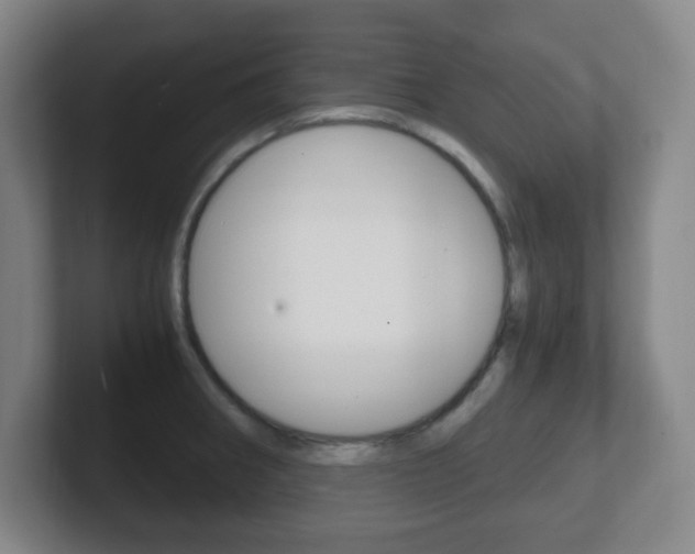 X0000102301282200807251014