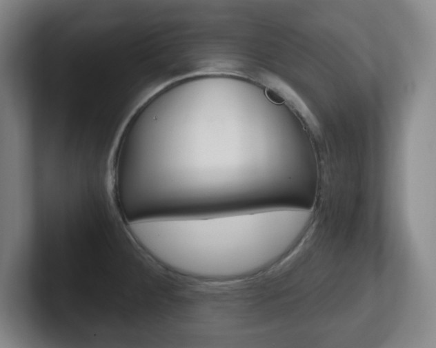X0000102301284200807251014