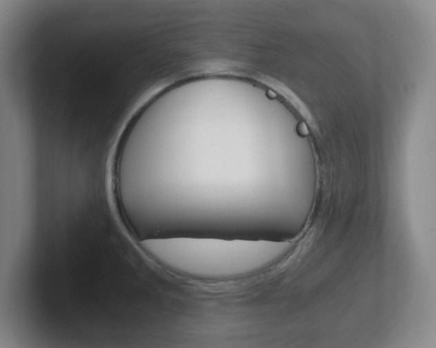 X0000102301285200807251014