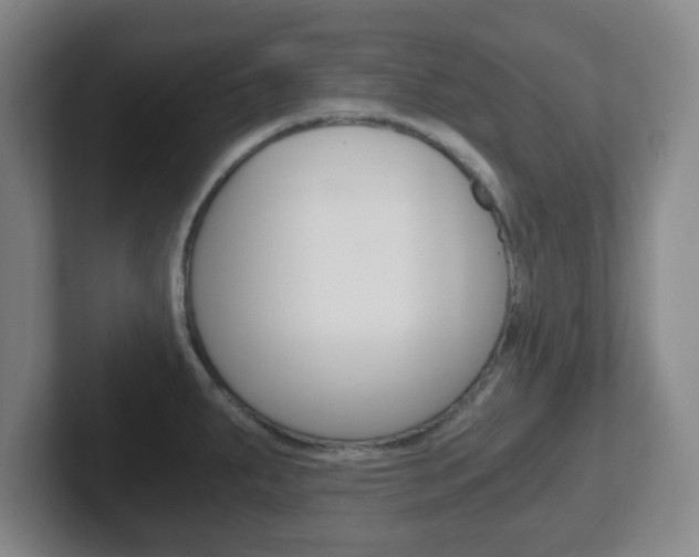 X0000102301287200807251014