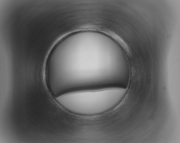 X0000102301288200807251014