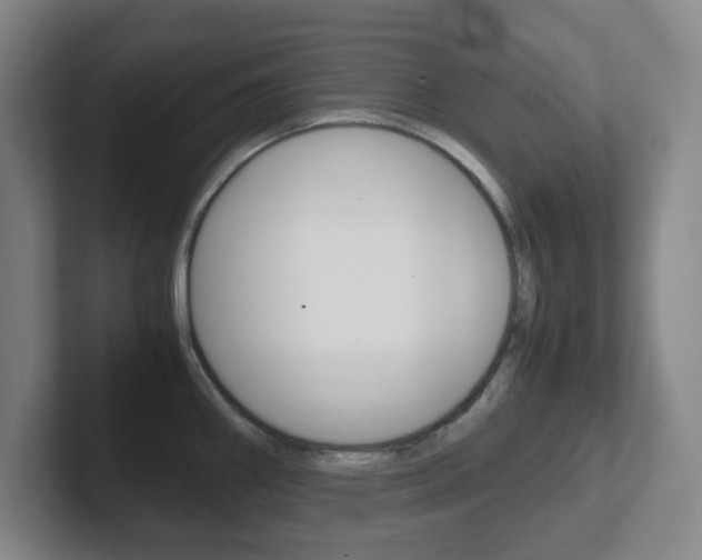 X0000102301290200807251014