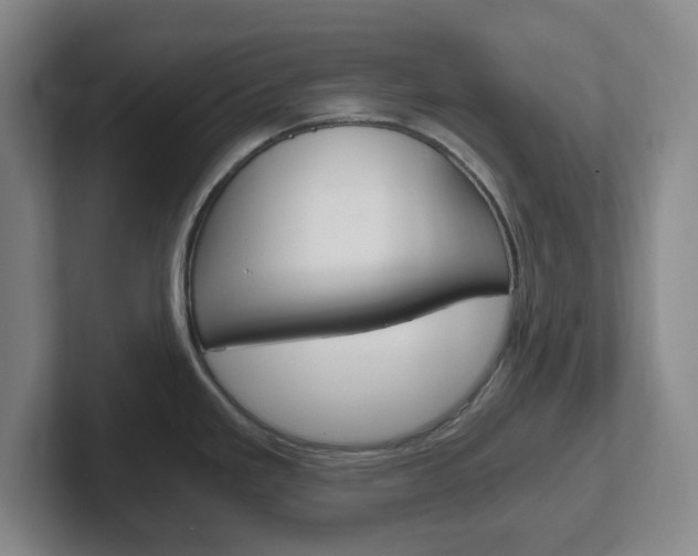 X0000102301293200807251013