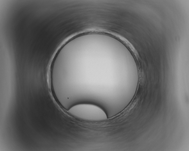X0000102301295200807251013