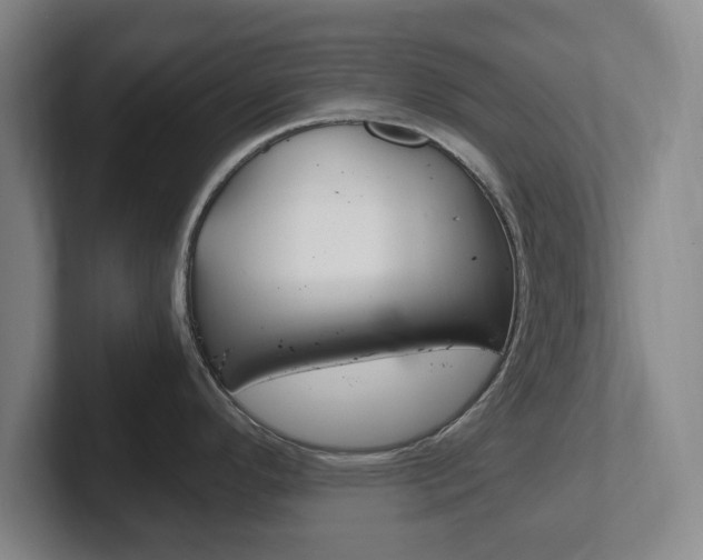 X0000102301296200807251013