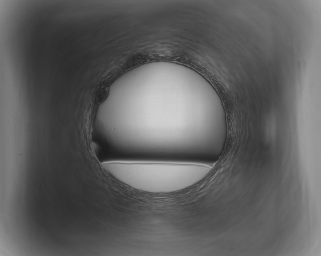 X0000102301297200807251013