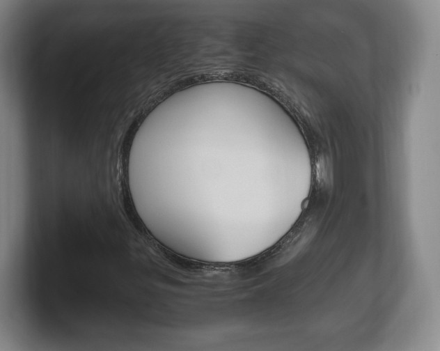 X0000102301299200807251013