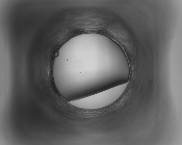 X0000102301300200807251013