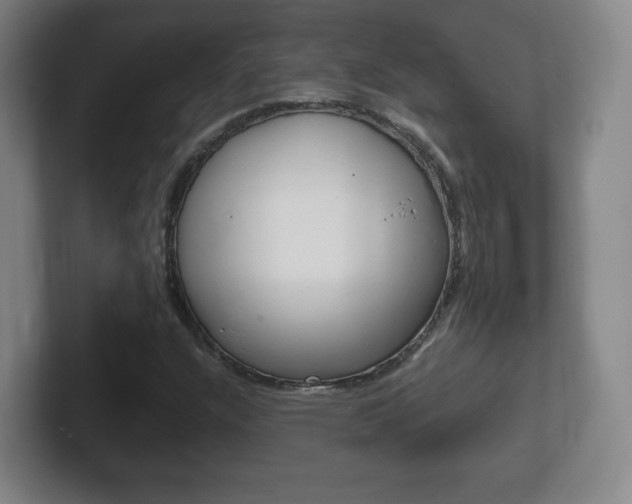 X0000102301304200807251013