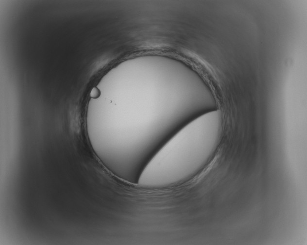 X0000102301306200807251013