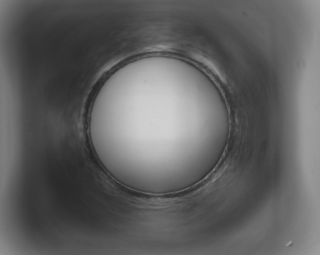 X0000102301308200807251013