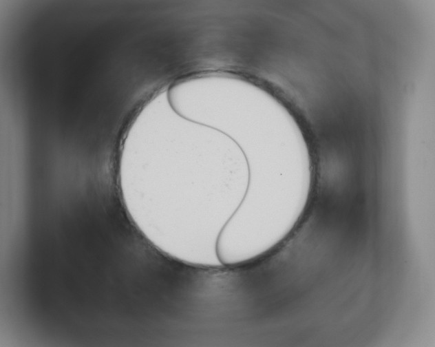 X0000102301314200807251013