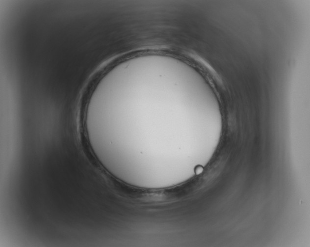 X0000102301315200807251013
