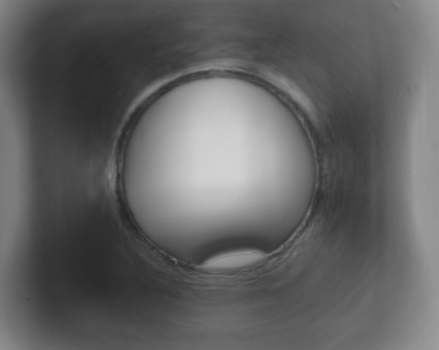 X0000102301316200807251013