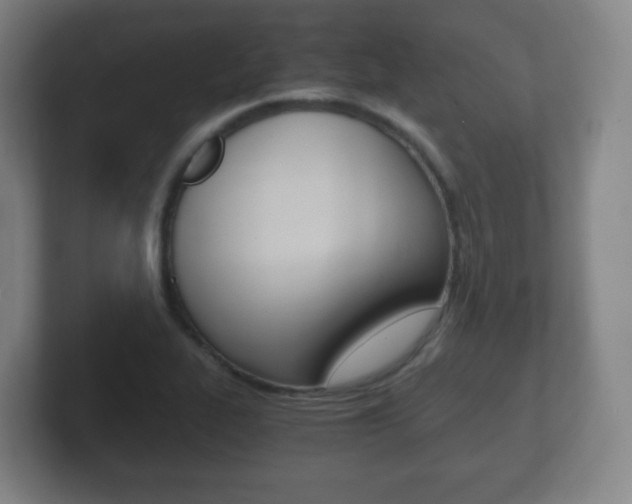 X0000102301319200807251013