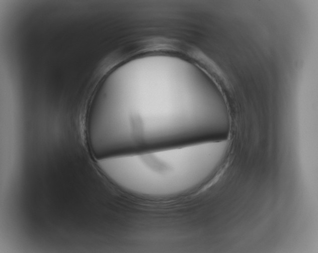X0000102301321200807251013