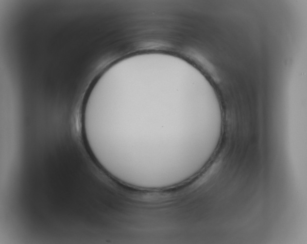 X0000102301322200807251013