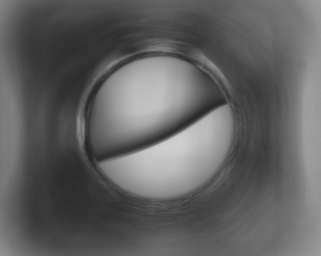 X0000102301323200807251013