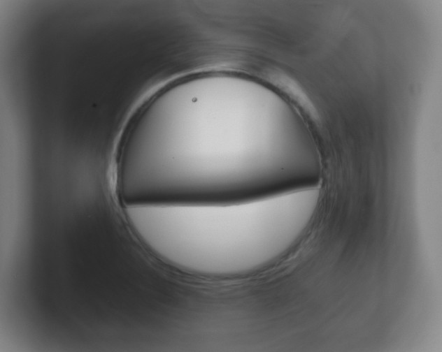 X0000102301324200807251013