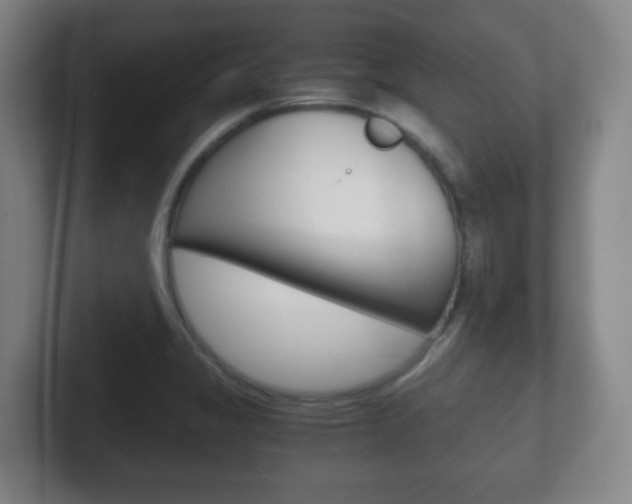 X0000102301325200807251013