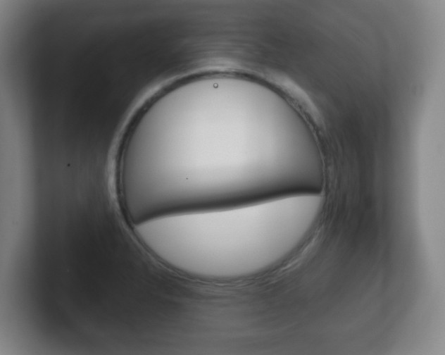 X0000102301326200807251013