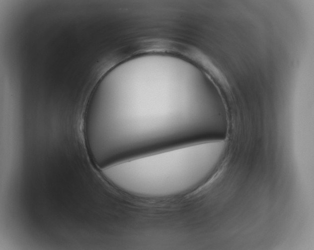 X0000102301329200807251013