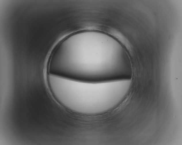 X0000102301331200807251013