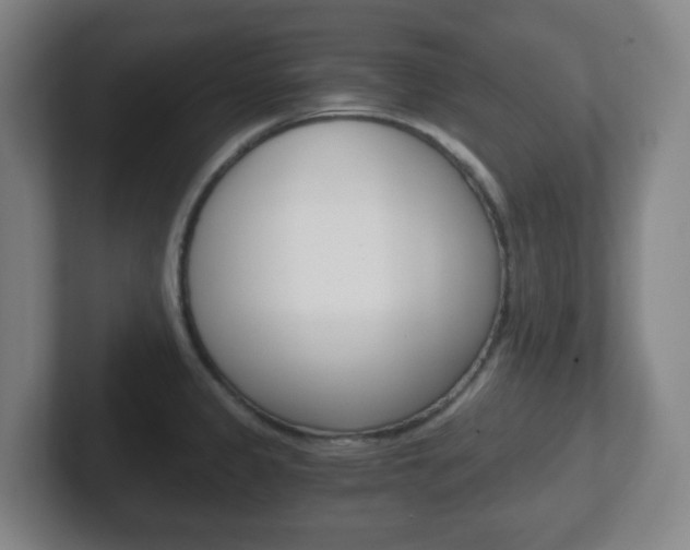 X0000102301333200807251013