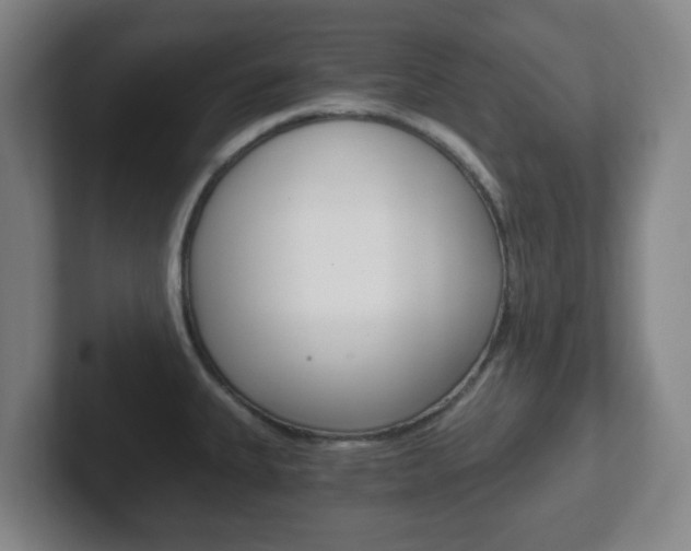 X0000102301335200807251013