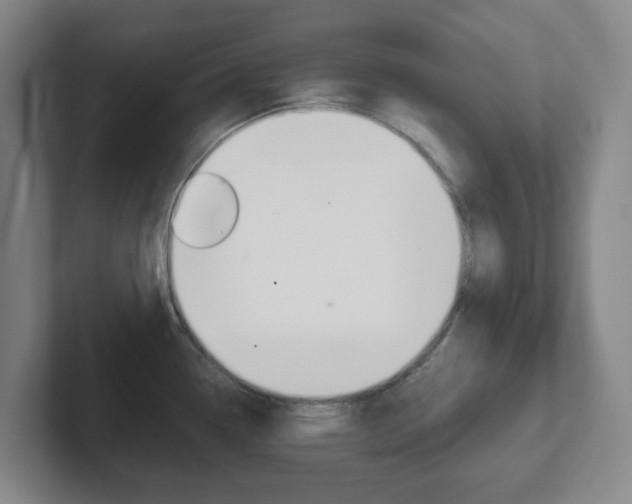 X0000102301338200807251013