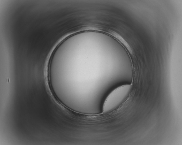 X0000102301339200807251013