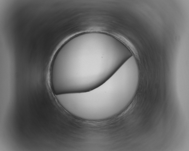 X0000102301340200807251013