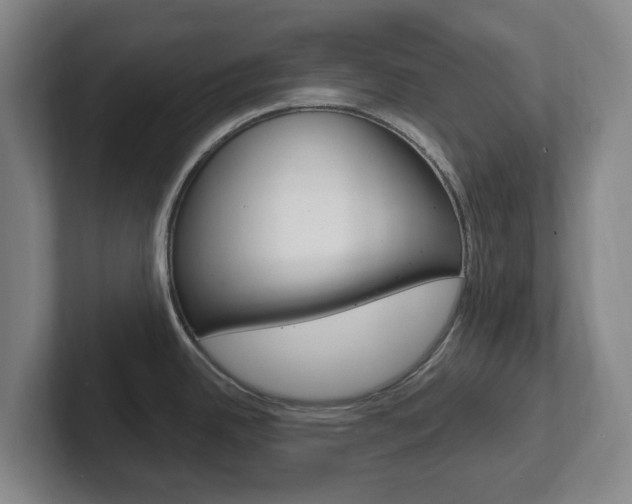 X0000102301342200807251013