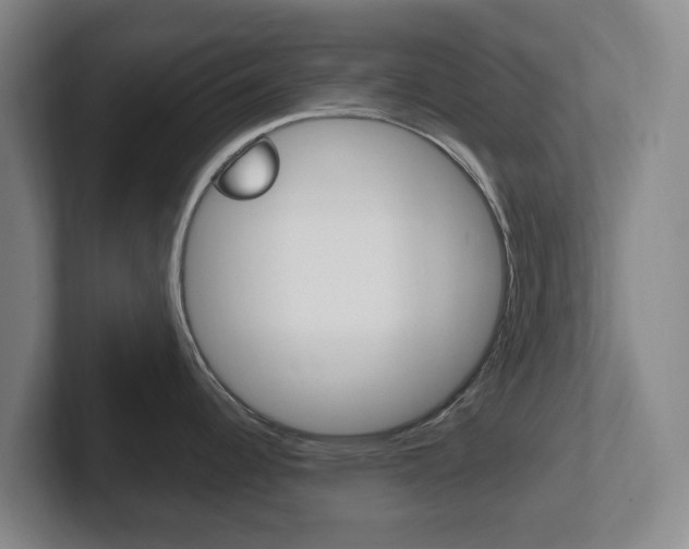 X0000102301344200807251013