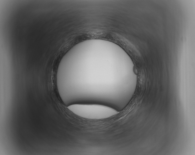 X0000102301346200807251013