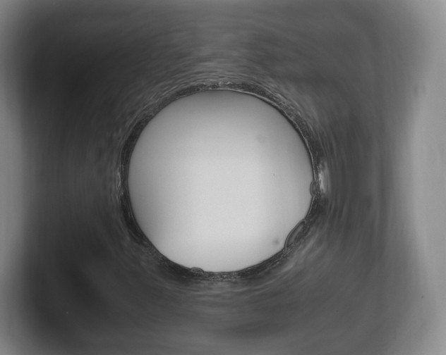 X0000102301347200807251013