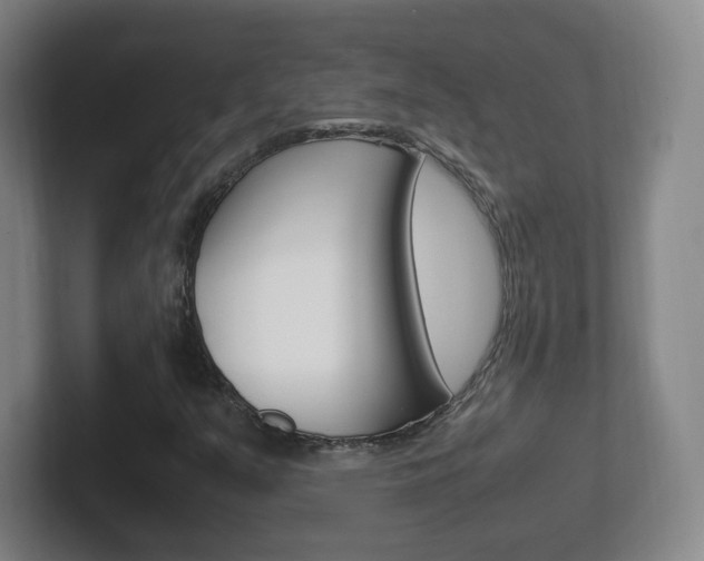 X0000102301351200807251013