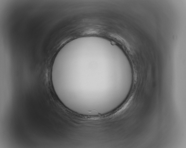 X0000102301353200807251013